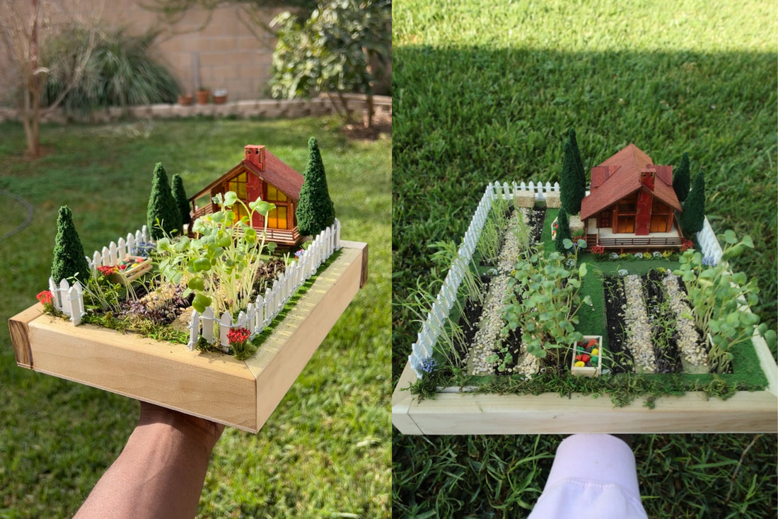 Micro Farming: A New Trend for Young People Disillusioned by the American Dream