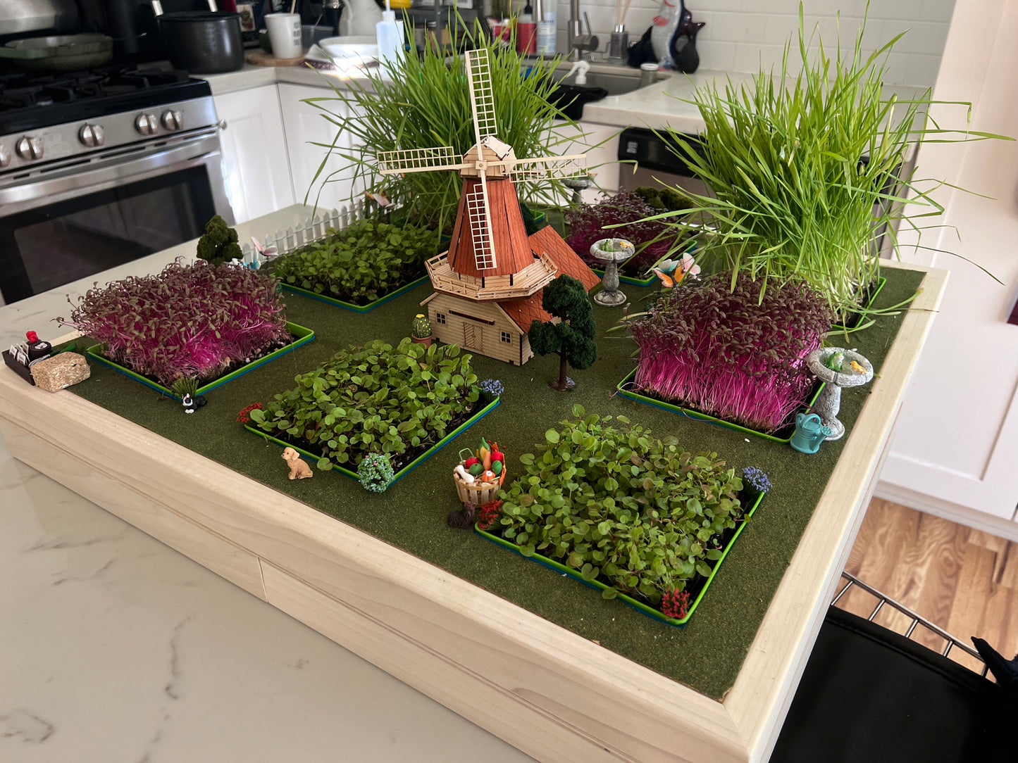 Desktop Micro Farm – Indoor Microgreens And Herbs Kit | Plants & Anime